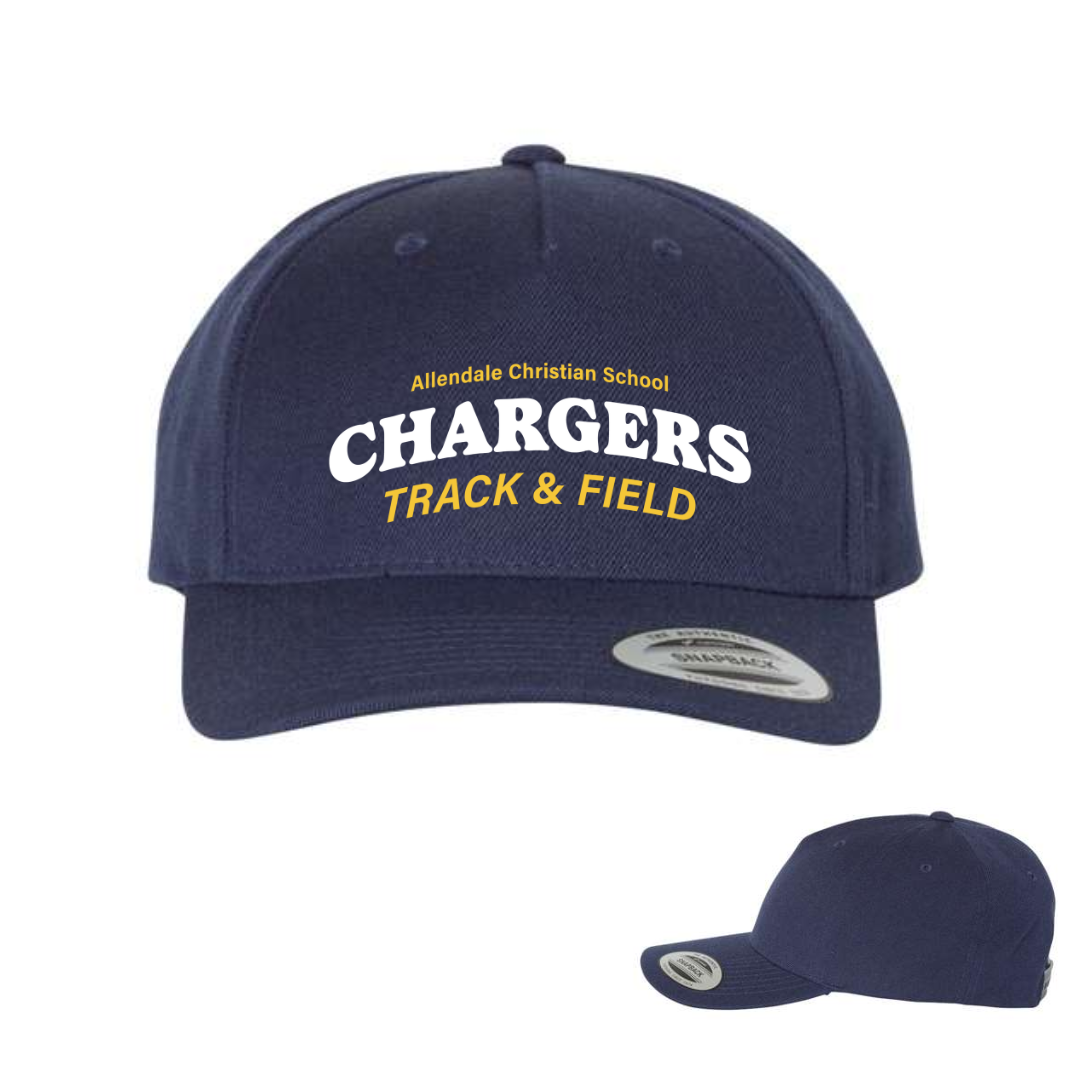 ACS Track Fitted Hat